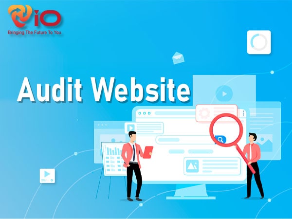Audit website là gì?