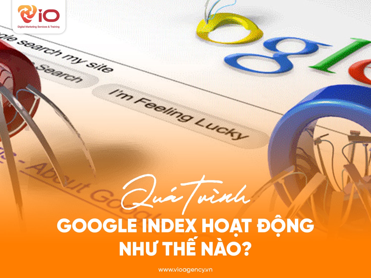 Google index là gì? Quá trình Google index thực hiện như thế nào?