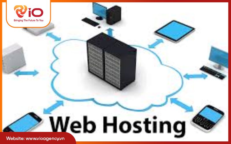 Có những loại web hosting ngon phổ biến nào?