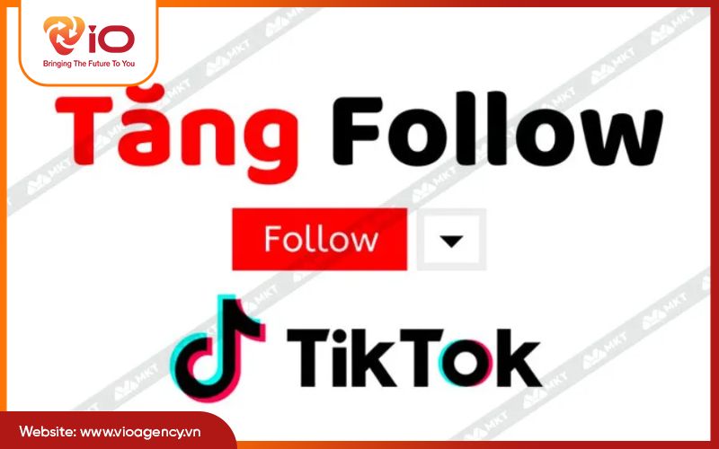 App tăng follow tiktok là gì?