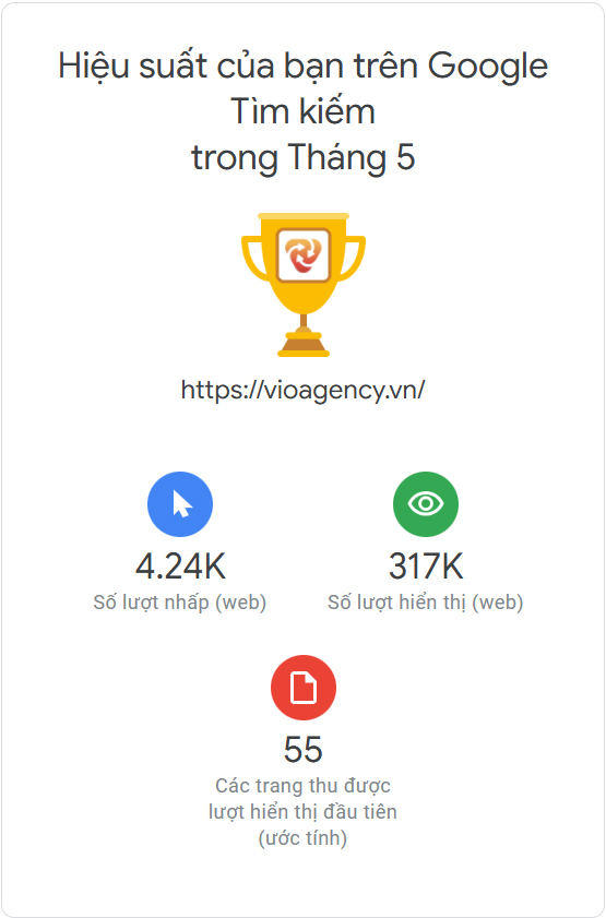 Hiệu suất VIO Agency