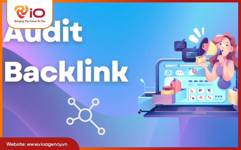 Audit backlink