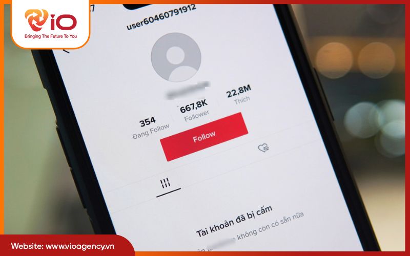 Các loại đình chỉ tài khoản