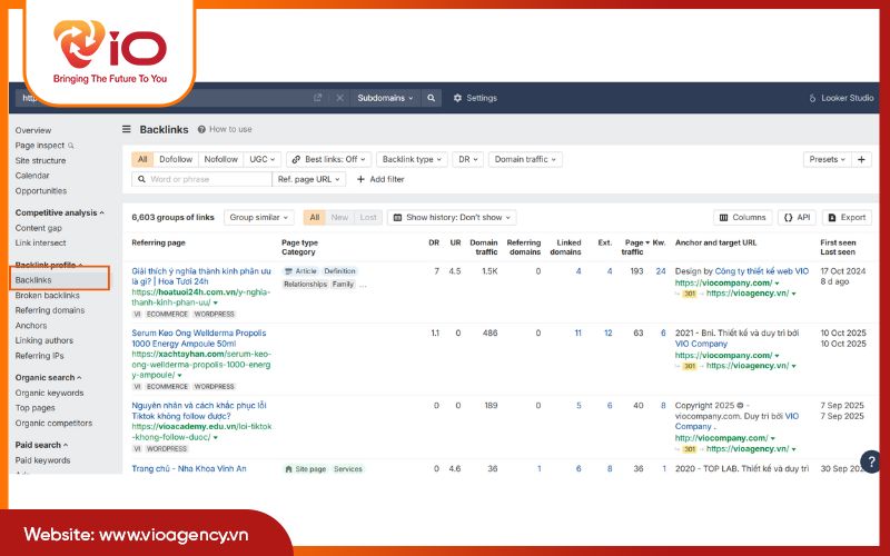 Kiểm tra mật độ Anchor text của internal link