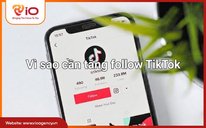 Vì sao cần tăng follow Tiktok